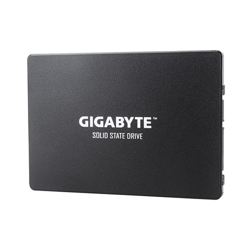 [28511] Твердотельный накопитель внутренний Gigabyte GSTFS31240GNTD