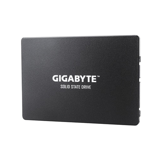 [29108] Твердотельный накопитель внутренний Gigabyte GSTFS31480GNTD