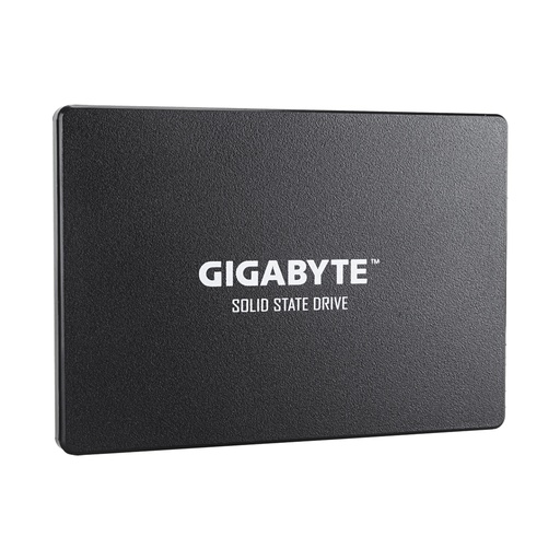 [52099] Твердотельный накопитель внутренний Gigabyte GP-GSTFS31100TNTD