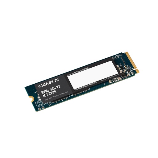 [85728] Твердотельный накопитель внутренний Gigabyte G3NVMEV2256G