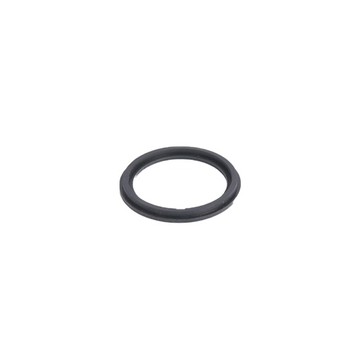 [36228] Уплотнительное кольцо для фильтр-насоса Bestway P6029ASS16