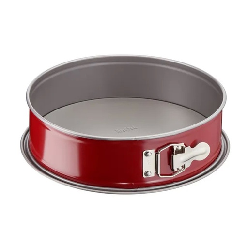 [48203] Форма разъемная Tefal Delibake J1641474 27см