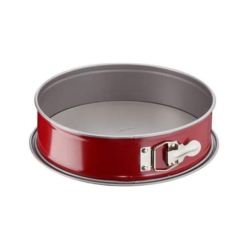 [48202] Форма разъемная Tefal Delibake J1641174 19см