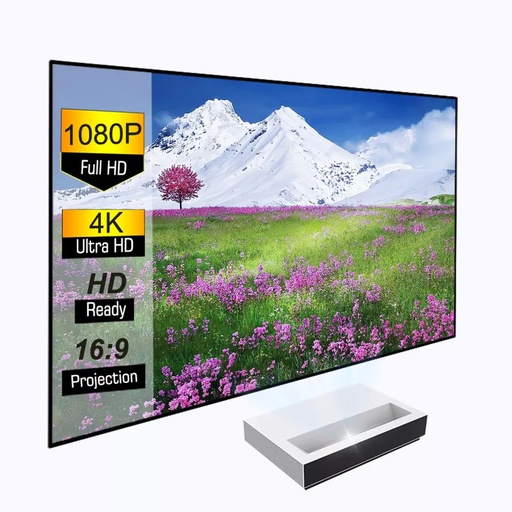 [45768] Экран Deluxe FJ1-120H (4K silver) 265x 149