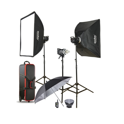 [82914] Комплект студийного оборудования Godox MS300-D